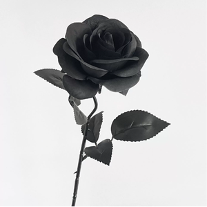 Vendita calda di seta artificiale <span class=keywords><strong>rose</strong></span> bianche e <span class=keywords><strong>nere</strong></span> con fiori a stelo utilizzati per eventi di decorazione di nozze gotiche - Product Image 1