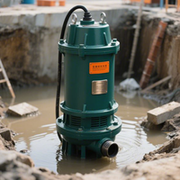 Pompe à eaux usées portable en fonte, pompe submersible électrique pour eaux usées, fonctionnement facile pour le drainage d'urgence