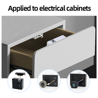 Casier à cartes RFID pour salle de sport, sauna, serrure de cabinet invisible en alliage d'aluminium avec application Tuya, option de stockage de données sur le cloud WiFi