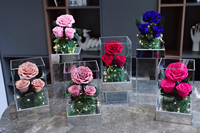 Nouveau Style LED Lumière Rose Jardin Roses Préservées dans une boîte en acrylique pour la décoration intérieure Cadeaux pour la fête des mères Saint Valentin Noël