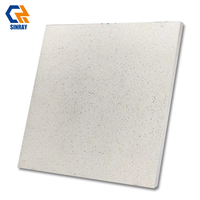 Carreaux de salle de bain modernes en porcelaine à texture de grain de bois rustique, surface mate, antidérapants, antibactériens, épaisseur 9 mm, bordures ACCENTS