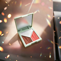 Palette de maquillage multifonctionnelle pour le visage, surligneur et fard à joues en poudre