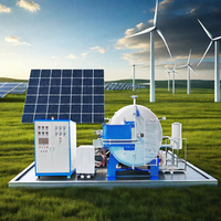 Horno de carbonización al vacío industrial con carcasa inoxidable, estufas de carbonización limpias y sin contaminación a la venta