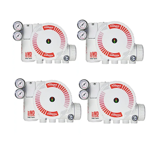 Régulateurs SMC (Série AR) : AR20, AR25, AR30, AR40, AR50, Rotork YTC YT-530, YT-535+Flowserve 3200MD - Product Image 4