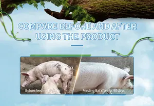 사료 첨가제 동물 건강 제품을 위한 까만 분말 20kg probiotics
