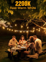 S14 A60 10m IP44 Waterdichte LED Filament Lichtketting Valentijnsdag Aansluitbaar E27 Buiten Verlichting Tuin Patio Cafe Decoratie