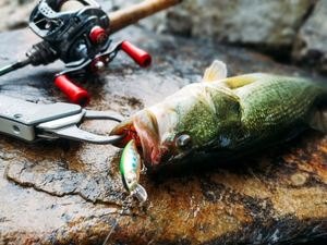 HUAPUDA 3-Piece Midwater Bionic Swim Bait Set for Carp Trout More Freshwater Saltwater <b>Fishing</b> Realistic Artificial Soft Bait - Product Image 4