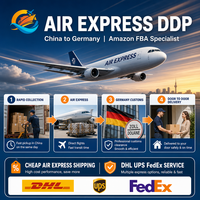 Fret maritime LCL FCL Chine vers Allemagne Hambourg Bremen Francfort DDP Agent d'expédition Amazon FBA Logistique professionnelle à guichet unique