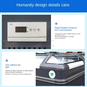 Vitrine réfrigérée Arc Island pour pains cuits à la vapeur, boulettes, fruits de mer surgelés, congélateur commercial et domestique, couleur personnalisable - Product Image 3