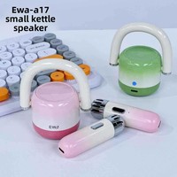 Mini haut-parleur portable EWA-A17 avec basses puissantes, en alliage d'aluminium, sortie 5W, pour camping en extérieur, maison, bureau, carte TF