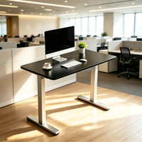 Cadre de bureau électrique réglable en hauteur à moteur unique, certifié CE RoHS, vente en gros d'usine, 1 MOQ