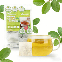 Bolsitas de Té de Hojas de Guayaba Pura, 180g, 120 Sobres, Bebida Natural Sin Cafeína para Hidratación Diaria