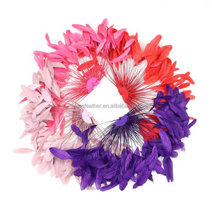 Piume di Gallo Tinte Premium all'Ingrosso, Applicazioni <span class=keywords><strong>per</strong></span> Costumi di Carnevale, Copricapo da Showgirl e Progetti Fai-da-Te - Product Image 3