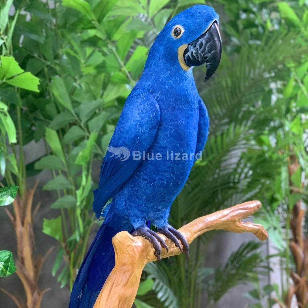 Blue Parrots for Sale Quality Cages Animatronic Models