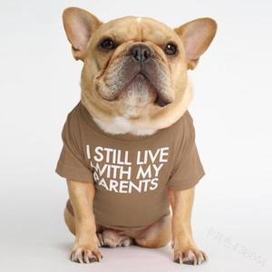 Camiseta Clásica LY <span class=keywords><strong>de</strong></span> Algodón Anti-Rasguños para <span class=keywords><strong>Perros</strong></span>, Ligera, para Verano, Lavable, para Bulldog Francés y <span class=keywords><strong>Shar</strong></span> <span class=keywords><strong>Pei</strong></span>, para <span class=keywords><strong>Perros</strong></span> Sensibles - Product Image 1