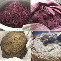 China Best Verkopende Cassave Zetmeel Gember Fruit Groentesap Druivenwijn Hydraulische Persmachine