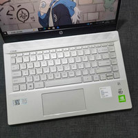 Ordinateur portable professionnel HP Pavilion 14-ce3xxx, 95 % neuf, processeur i5-10e génération, 8 Go de RAM, SSD 256 Go, carte graphique MX330, Windows 10, écran 14 pouces