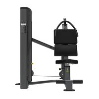 Máquina Abdominal de Ruta Fija Ajustable de Acero para Gimnasio, Equipo Comercial de Alta Resistencia con Pila de Pesas de 100 kg para Clubes de Fitness
