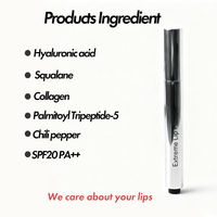 Stylo volumateur pour les lèvres naturel et végétalien de haute qualité, à longue tenue, à l'acide hyaluronique, gloss repulpant, hydratant et éclaircissant