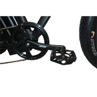 Tricycle électrique pour adulte, moto, Cargo, 250 w, offre spéciale