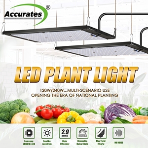 Luci LED per Coltivazione <span class=keywords><strong>in</strong></span> Alluminio a Spettro Completo da 240 <span class=keywords><strong>Watt</strong></span> LM301H con Controllo Intelligente per Crescita Idroponica Indoor e Fase di Fioritura e Vegetativa - Product Image 6