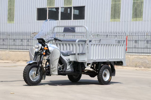 Motocicleta triciclo eléctrico de 3 ruedas, salida de fábrica para adultos, furgoneta de pasajeros y camión, taxi para <span class=keywords><strong>transporte</strong></span> de carga - Product Image 4