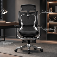 Chaise de bureau ergonomique respirante en maille avec accoudoirs 7D réglables, pivotante avec base chromée pour la maison et le bureau