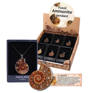 Grosir Liontin Ammonite Perak Kerang Alami Liontin Batu Alam untuk Pembuatan Perhiasan Hadiah Natal