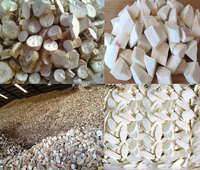 Usine de découpage de manioc, machine à découper et à éplucher le manioc, traitement des chips de manioc séchées