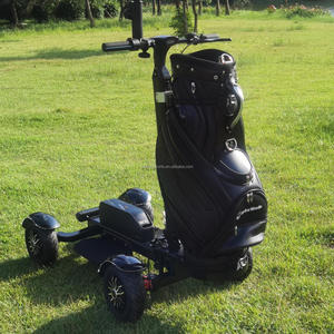ESWING 2025 Nouvelle Arrivé<span class=keywords><strong>e</strong></span> Trottinette Électrique de <span class=keywords><strong>Golf</strong></span> avec Moteur Sans Balais, Cadre Pliant et Pneus Larges pour une Conduite Confortable - Product Image 3