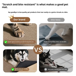 Hiện Đại Thân Thiện Với Môi Polyester Xước Ban Thảm Mat Máy Làm 10Mm Dày Cao Su Dưới Bụi Bẩn Chống Tất Cả Các Mùa Nhà - Product Image 4