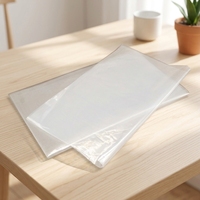 Sacs en plastique PE jetables transparents pour glace, aliments, sucre, sucettes, usage unique