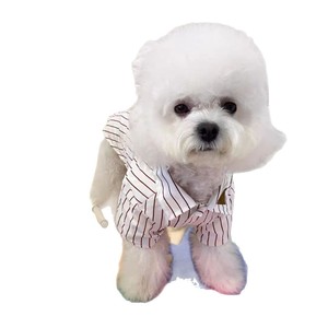 Vêtements pour chien, chemise rayée légère pour petit chien, chaton, Teddy, Bichon Frisé, Schnauzer, West Highland White Terrier - Product Image 4