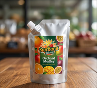 Pochettes souples argentées personnalisées avec logo imprimé et bec verseur, 100ml, 250ml, 500ml, pour lait, aliments pour animaux, réutilisables, de qualité alimentaire, recyclables, pour détergent liquide