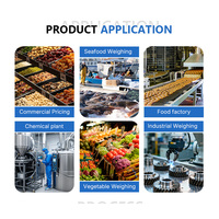 Báscula Electrónica de Acero Inoxidable 304, Capacidad de 100 kg, Precisión de 10 g, Pantalla LED/LCD, Indicador de Peso, Personalizable OEM/ODM