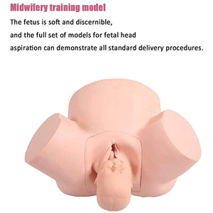 Simulador de Entrenamiento Avanzado en <span class=keywords><strong>Obstetricia</strong></span>, Maniquí de Parto para Enfermería Ginecológica - Product Image 2
