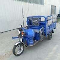 Triciclo Eléctrico de Alta Potencia para Adultos, Semi-cubierto, con Protección contra la Lluvia y el Sol, para Carga