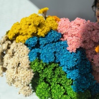 Vente chaude 100 pièces Ins naturel Mini petites fleurs de marguerite conservées séchées pour les mariages et la fête des mères pour la Saint-Valentin