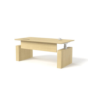 <span class=keywords><strong>Bureau</strong></span> de direction électrique moderne avec pieds à panneaux, double moteur, hauteur réglable, assis-<span class=keywords><strong>debout</strong></span>, table de <span class=keywords><strong>bureau</strong></span> pour dirigeant - Product Image 4