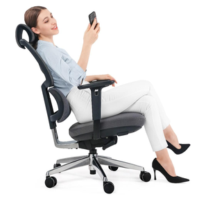 Silla de Oficina Ergonómica de Malla con Respaldo Alto, Giratoria, Ejecutiva, Comercial, para Gaming Avanzado, con Respaldo Ajustable - Product Image 1