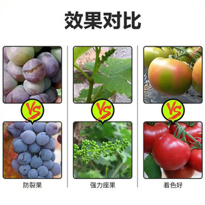ปุ๋ยโบรอนชนิดเม็ดสำหรับผู้สูงอายุ 8 ชนิด 1000 กรัม ละลายช้าในน้ำ สำหรับต้นไม้ผลไม้และผัก - Product Image 2