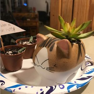 ハンドメイド クリエイティブ ラブリー アニマル カートゥーン セラミック 植木鉢 ミニ 多肉植物 プランター 猫 プランター 植木鉢 - Product Image 3