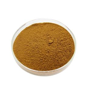 Ekstrak Daun <span class=keywords><strong>Ivy</strong></span> Herbal Tanaman Murni Alami 100% Larut Air Bersertifikat Kosher / Halal Harga Pabrik Bubuk Ekstrak Daun <span class=keywords><strong>Ivy</strong></span> - Product Image 2