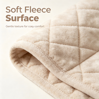Factory Price Intelligent Control Technology for Winter Warmer Electric Heated Blankets