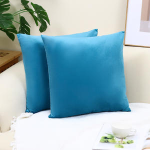 Penjualan Panas Sarung Bantal Beludru Mewah Sederhana Gaya Eropa Warna Solid Bantal Persegi untuk Penggunaan di Rumah dan Rumah Sakit. - Product Image 5