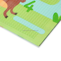 Tapis de sol extérieur élégants et absorbants, variés en formes, mini-tapis XPE anti-transpiration pour la décoration intérieure