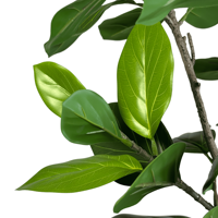 Modedesign 180cm künstlicher Banyan baum Faux Bonsai Banyan Tree Greenery Künstliche Pflanze für Innendekoration