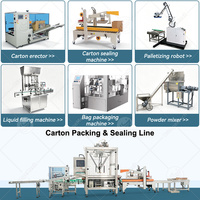 Machine d'emballage automatique ORME pour eau minérale en cartons et palettes, chargement par le haut