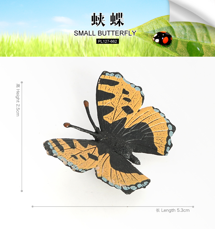 662 Mariposa Pequeña