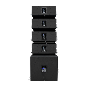 Haut-parleurs audio professionnels, système linéaire de 10 pouces, haut-parleur haute performance Lh110-lh118, haut-parleur linéaire de 10 pouces - Product Image 3